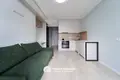 1 bedroom apartment 23 m² Kopishche, Belarus
