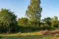 Haus  Ravanicki sielski Saviet, Belarus