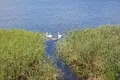Land  Isnaudas pagasts, Latvia