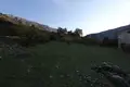 Land  Dobrota, Montenegro