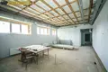 Manufacture 429 m² in Vialikaja Uchaloda, Belarus
