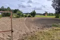 Land  Saskelevo, Russia