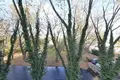 Квартира 5 комнат 160 м² в Варшаве, Польша