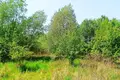 Grundstück 1 438 m² Pniewo, Polen