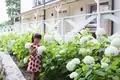 Коммерческое помещение  Bobrowo, Польша