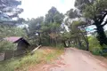 Propriété commerciale  à Monténégro, Monténégro