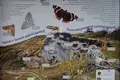 Земельные участки  Паланга, Литва