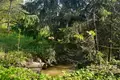Land  Nikolskoe, Russia