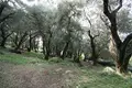 Land 1 room  Valanio, Greece