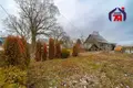 Haus 54 m² Krupicki sielski Saviet, Belarus