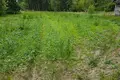 Maison 42 m² Tamasouski sielski Saviet, Bélarus
