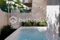 Villa mit 2 Schlafzimmern  Canggu, Indonesien