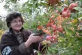 Дом 4 спальни  Chernomorets, Болгария