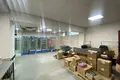 Propiedad comercial 220 m² en Minsk, Belarús