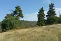 Atterrir 1 chambre 4 062 m² Nea Skioni, Grèce