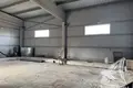 Fabrication 1 460 m² à Vielikarycki sielski Saviet, Bélarus