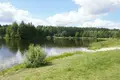Grundstück  Vyhanicy, Belarus