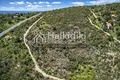 Land 175 000 m² Municipality of Sithonia, Greece