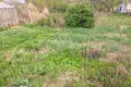 1 bedroom house 15 m² Haranski sielski Saviet, Belarus
