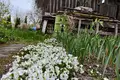 Дом 36 м² Грабовка, Беларусь