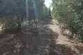 Land 2 000 m² Nea Plagia, Greece