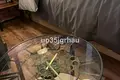 Apartamento 1 habitacion 26 m² Dos Hermanas, Španjolska