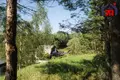 Cottage 734 m² Svabski sielski Saviet, Belarus
