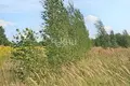 Land 2 000 m² Gorodetsky District, Russia