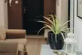 5 room apartment 115 m² Wrocław, Poland