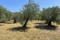 Земельные участки 1 комната  Municipality of Southern Corfu, Греция