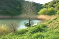 Parcelas , Georgia