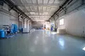 Manufacture 2 311 m² in Dukorski sielski Saviet, Belarus
