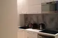 2 bedroom apartment 48 m² Capital City of Prague, Czech Republic