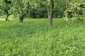   Kaliadzicy, Bélarus