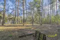 Коттедж 853 м² Ждановичский сельский Совет, Беларусь