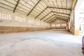 Almacén 1 439 m² en Novelda, Španjolska