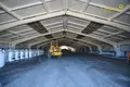 Warehouse 1 254 m² in Navasyno, Belarus