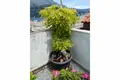 Haus 5 zimmer 200 m² Grad Korcula, Kroatien
