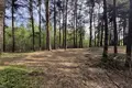 Grundstück 6 536 m² Gizalki, Polen