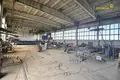 Produktion 12 000 m² Nowalukoml, Belarus