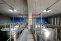 Commercial property 240 m² in Grosseto, Italy