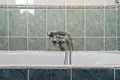 Квартира 4 комнаты 87 м² Варшава, Польша