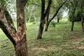 Działki  Piarsajski sielski Saviet, Białoruś
