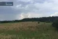 Działki  Olita, Litwa