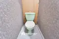 2 bedroom apartment 55 m² Minsk, Belarus