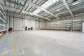 Magazyn 2 pokoi 2 538 m² w Fanipol, Białoruś