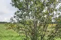 House 30 m² Gorodetsky District, Russia