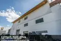 Propiedad comercial 1 632 m² en Gustavsburg, Alemania