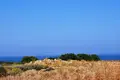 Atterrir 1 chambre  Skaleta, Grèce