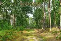 Dom 5 pokojów  Smolice, Polska